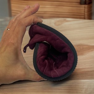 2-Day Plus Transicion