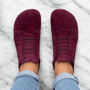 2-Day Plus Transition 2