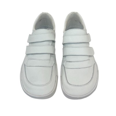 New School Adulto Box