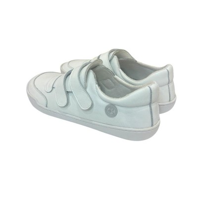 New School Adulto Box