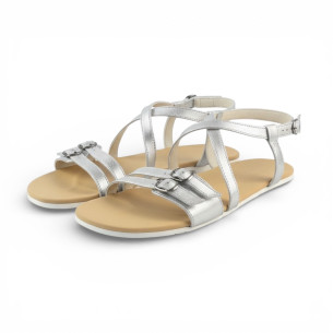 Moni Lux S.transicion 2